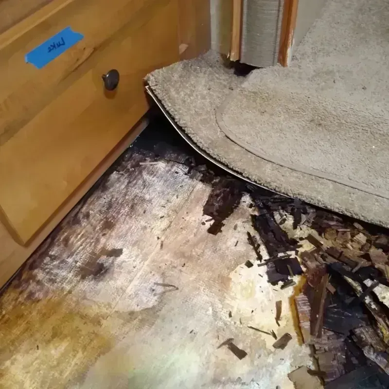 Wood Floor Water Damage in Roxborough Park, CO